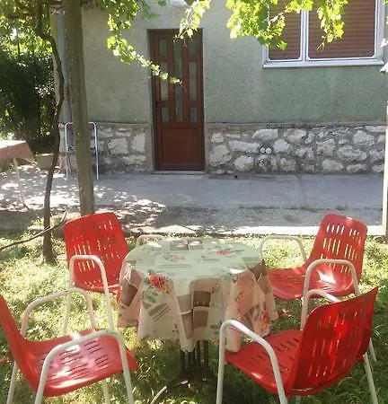 Holiday Vujovic *