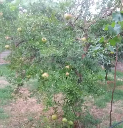 Holiday home Holiday Vujovic Podgorica