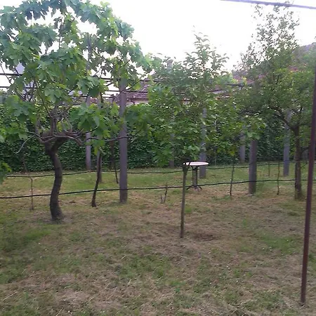 Holiday Vujovic Dom wakacyjny *