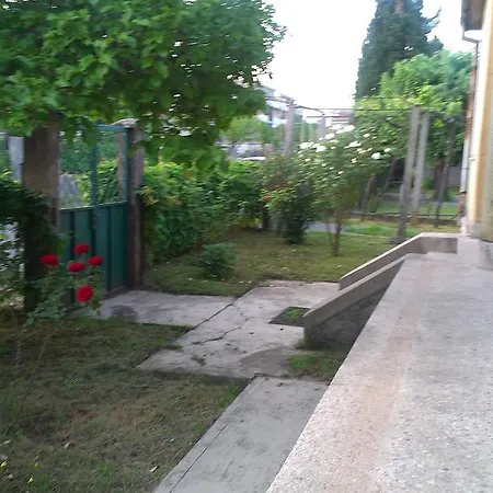 Holiday Vujovic * Podgorica