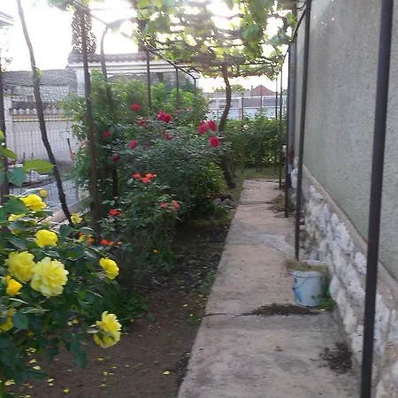 Holiday Vujovic Σπίτι διακοπών Ποντγορίτσα